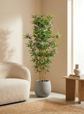 The Sovereign Sanctuary Bamboo - 5.5ft