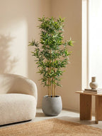 The Sovereign Sanctuary Bamboo - 5.5ft