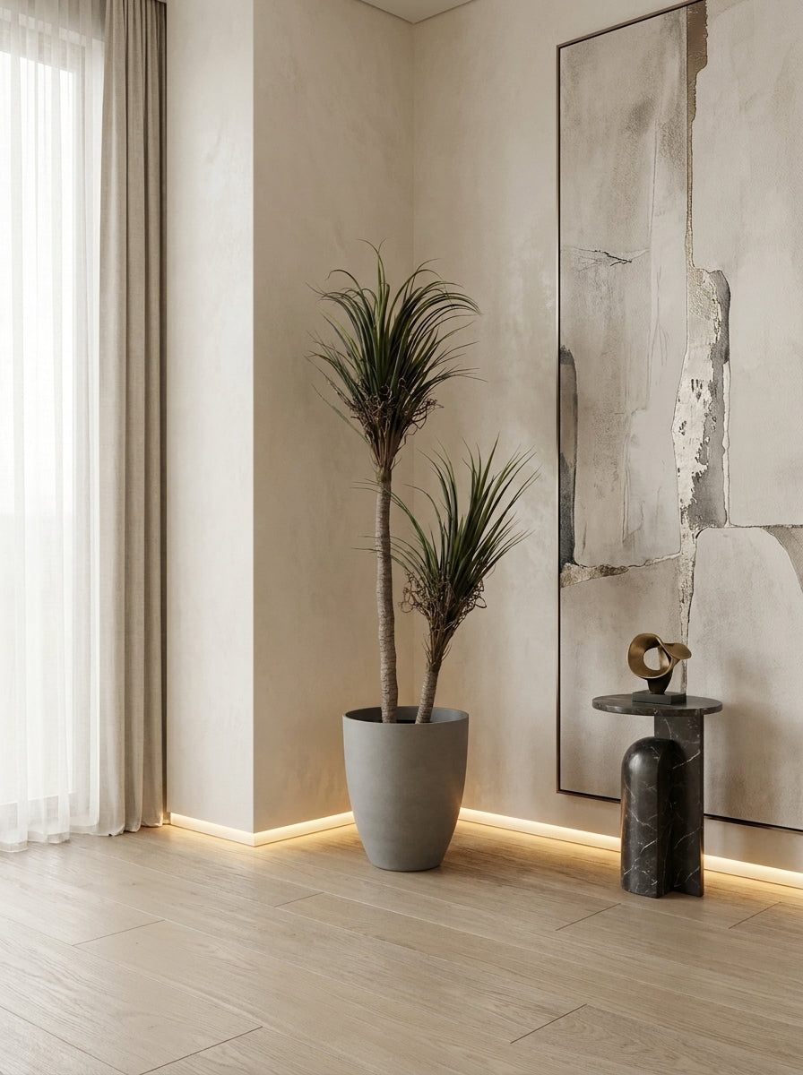 Artisanal Staggered Dracaena Marginata - 5ft
