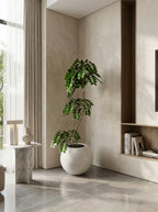 The Everfresh Orb Tree - 4ft