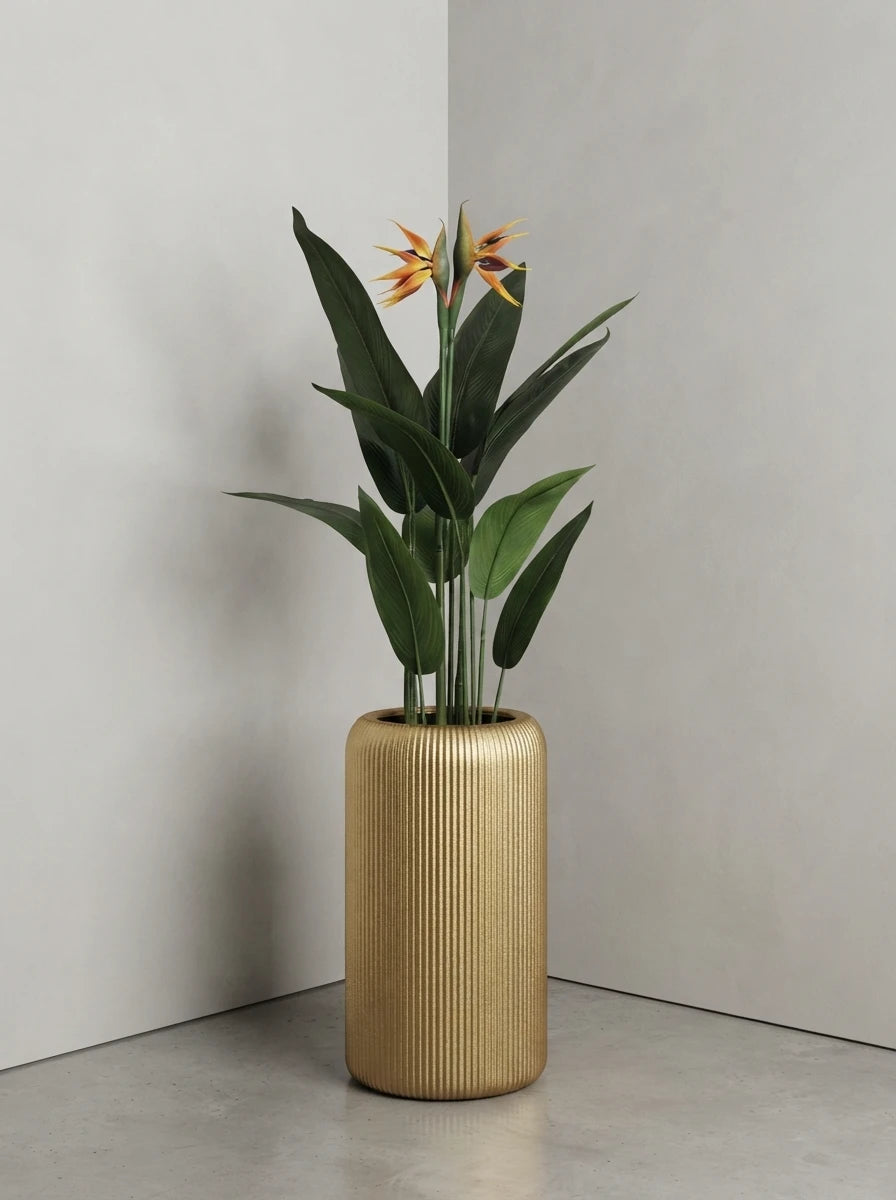The Atrium Crest Bird of Paradise