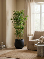 The Sovereign Sanctuary Bamboo - 5.5ft