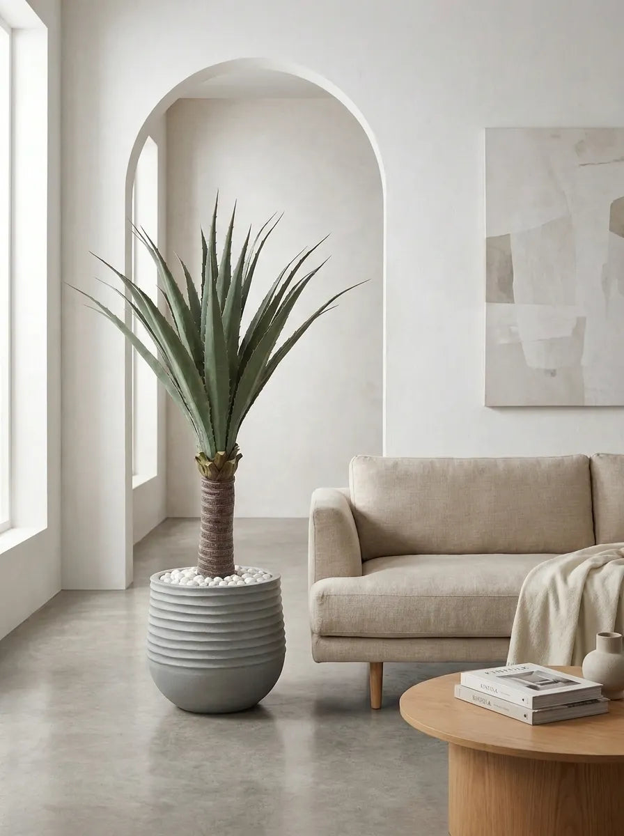 Sierra Crest Yucca - 4ft