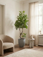 Verdant Haven Tree - 6ft
