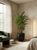 Majestic Palm - 7ft