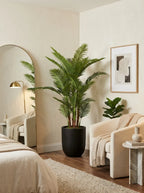 Majestic Palm - 7ft