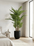 Majestic Palm - 7ft