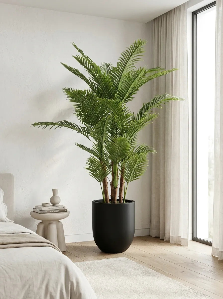 Majestic Palm - 7ft