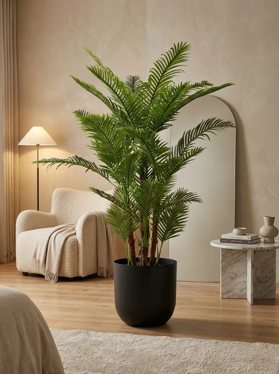 Majestic Palm - 7ft