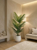 The Private Retreat Kentia Palm - 5ft