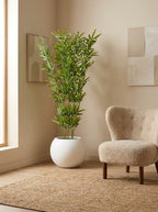The Sovereign Sanctuary Bamboo - 5.5ft