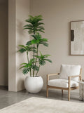 The Highgrove Kentia - 5.5ft