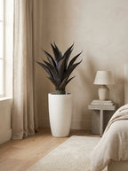 The Sonoran Agave Tree - 3.5ft