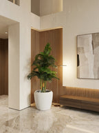 The Solstice Areca Palm Tree - 5.5ft