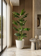 The Grand Emerald Monstera - 6ft
