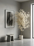 The Highland Cloud Blossom Tree - 6.5ft