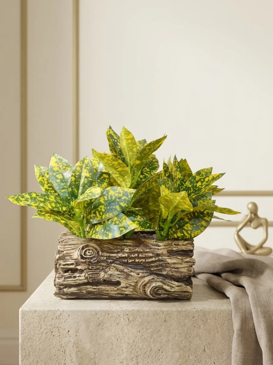 Rustic Forest Croton Log Arrangement
