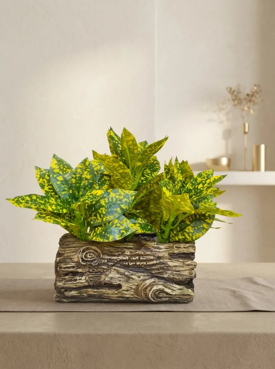 Rustic Forest Croton Log Arrangement