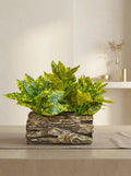 Rustic Forest Croton Log Arrangement