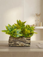 Rustic Forest Croton Log Arrangement