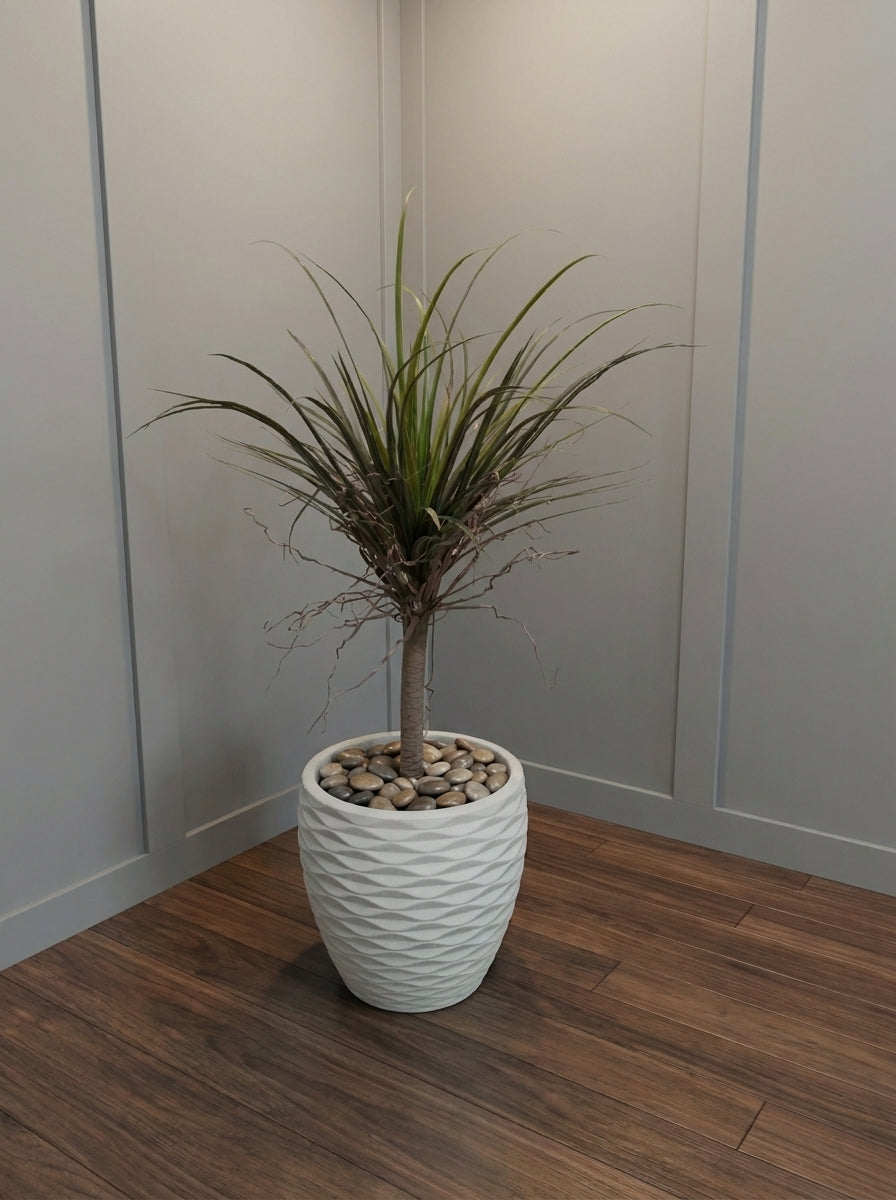River-Rock Dragon Tree- 4ft
