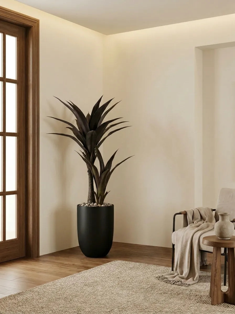 Obsidian Dracaena - 4ft