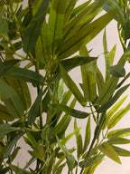 The Sovereign Sanctuary Bamboo - 5.5ft