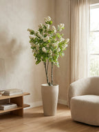 The Heritage Reserve White Acacia - 5.5ft