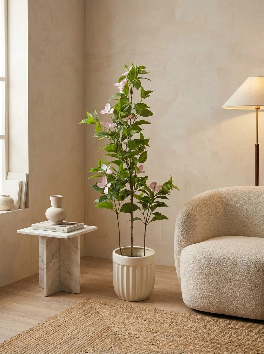 The Sovereign Estate Dogwood - 4ft